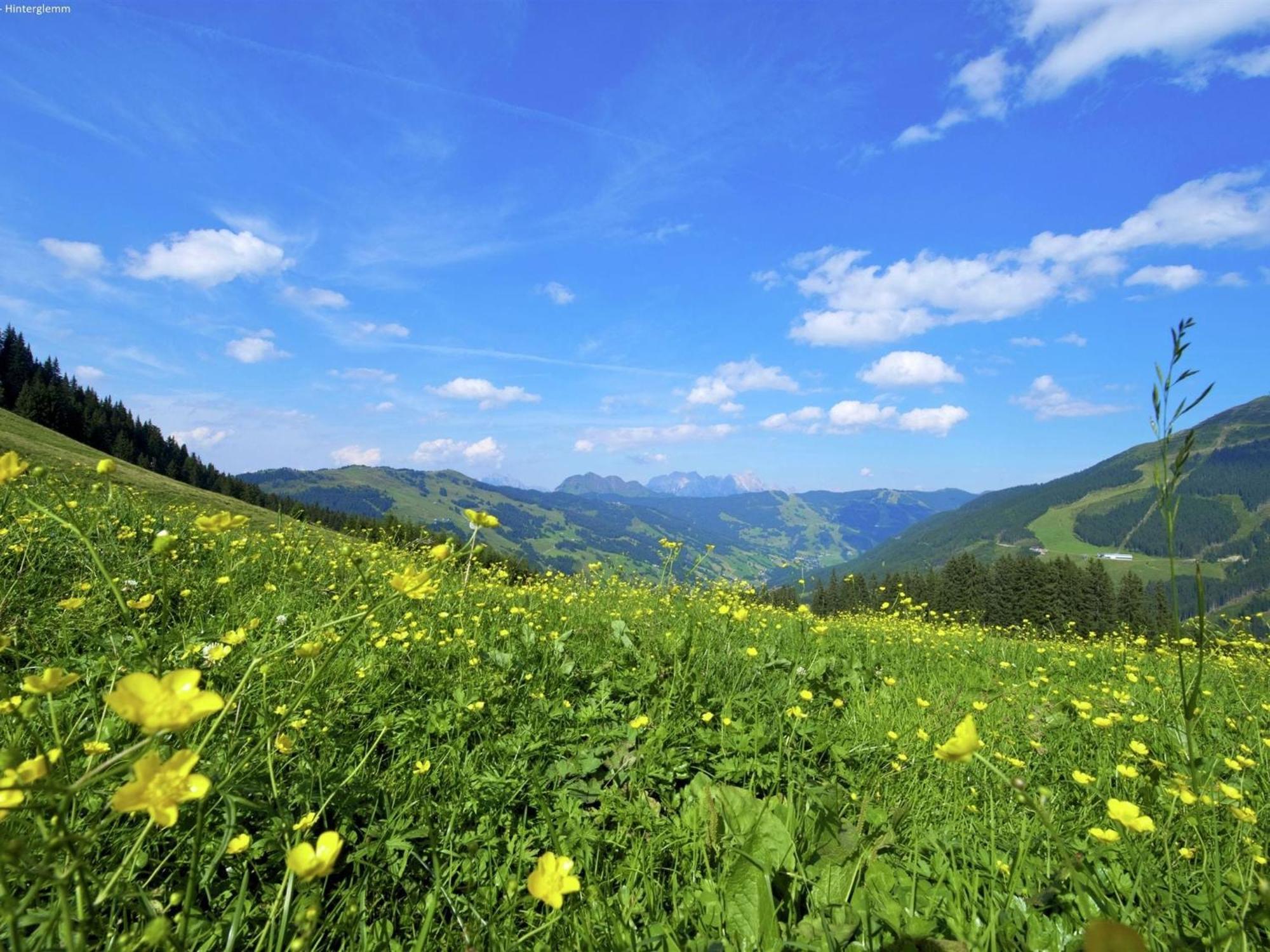 Large Chalet Apartment In Saalbach Hinterglemm Kültér fotó